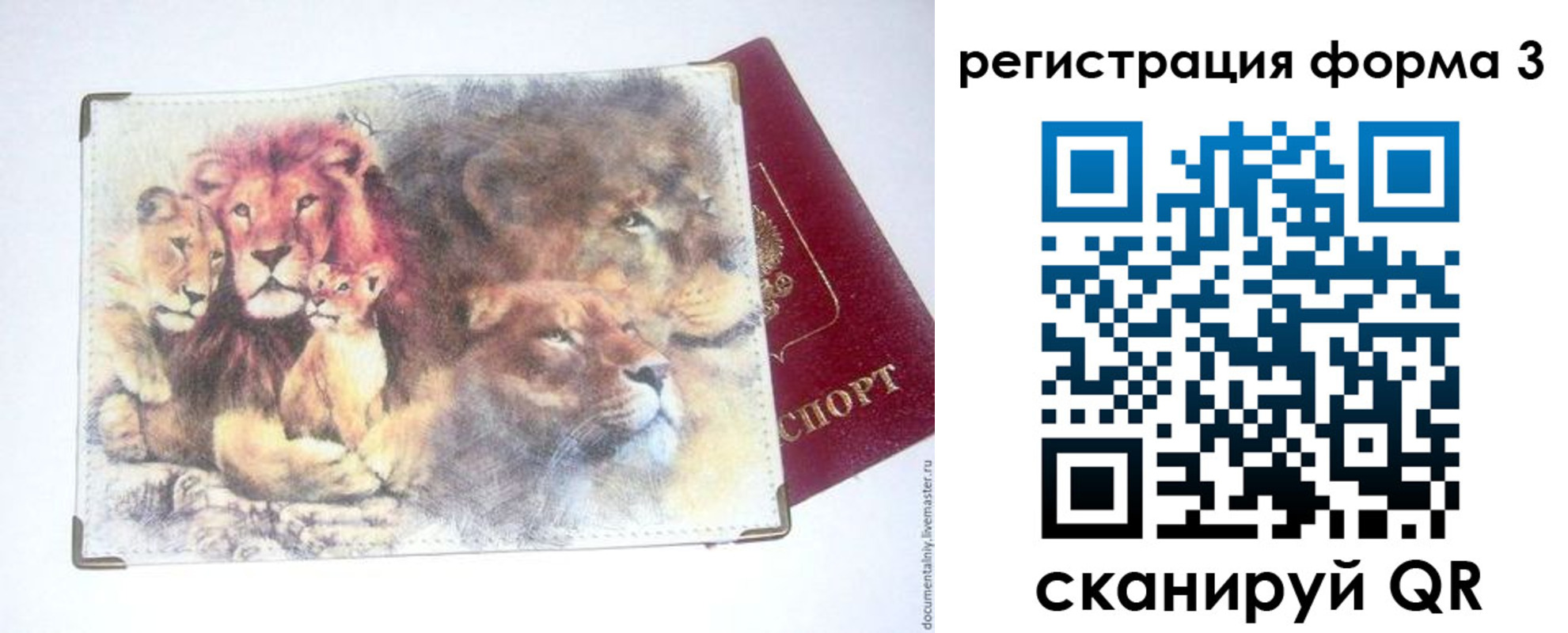 прописка в квартире в Сорочинске